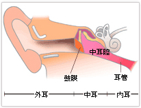 日常生活の注意